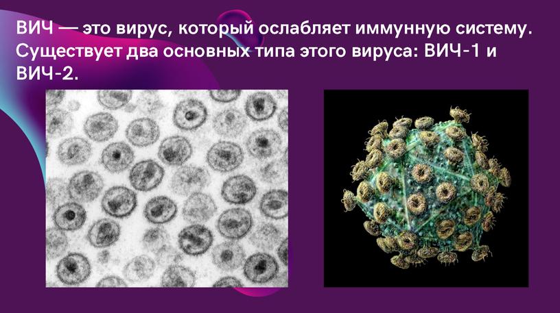 Исследовательская работа по теме  "Проблема распространения ВИЧ - инфекции"