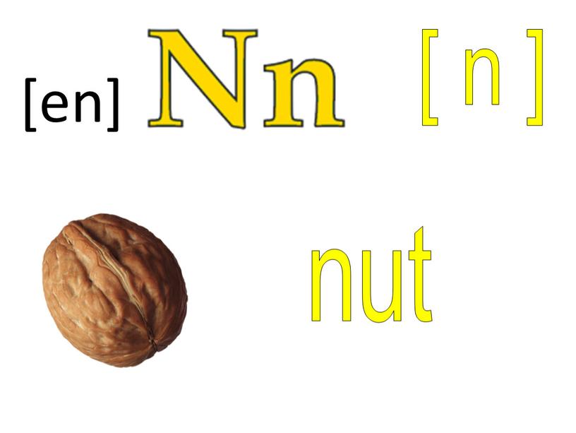 [ n ] nut [en]