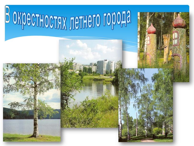 В окрестностях летнего города