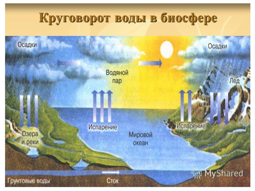 Презентация по теме "Биосфера"