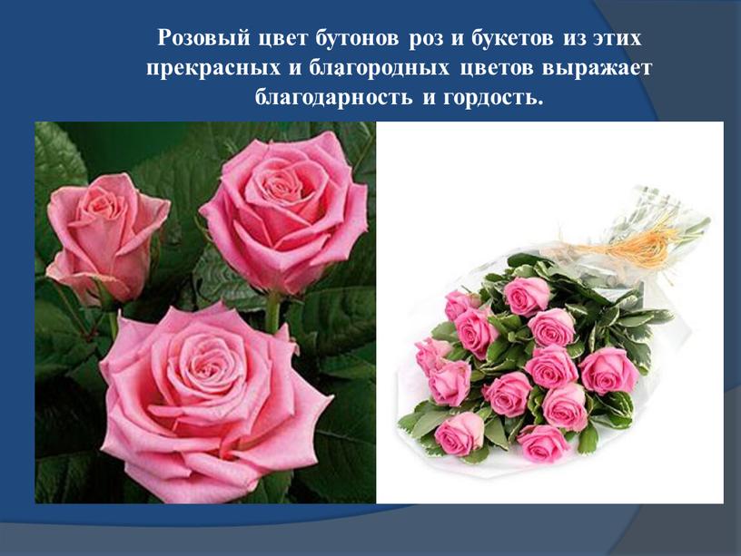 Розовый цвет бутонов роз и букетов из этих прекрасных и благородных цветов выражает благодарность и гордость