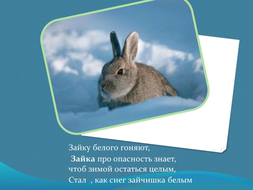 Зайку белого гоняют, Зайка про опасность знает, чтоб зимой остаться целым,