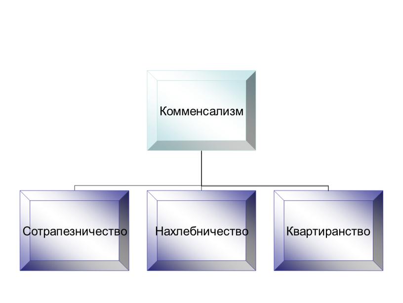 Взаимодействие популяций разных видов