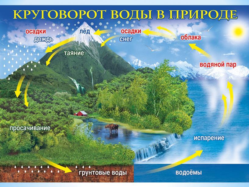 Учебная презентация "Берегите воду!"