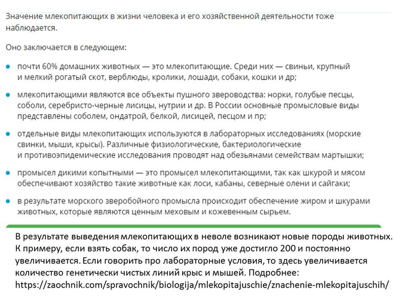 В результате выведения млекопитающих в неволе возникают новые породы животных