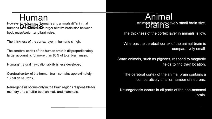 Animals have a relatively small brain size