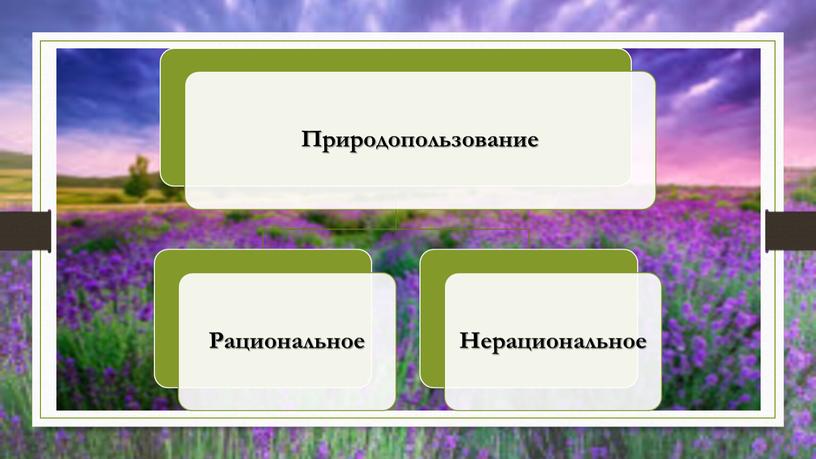 Презентация. Географическая среда - среда обитания человека.