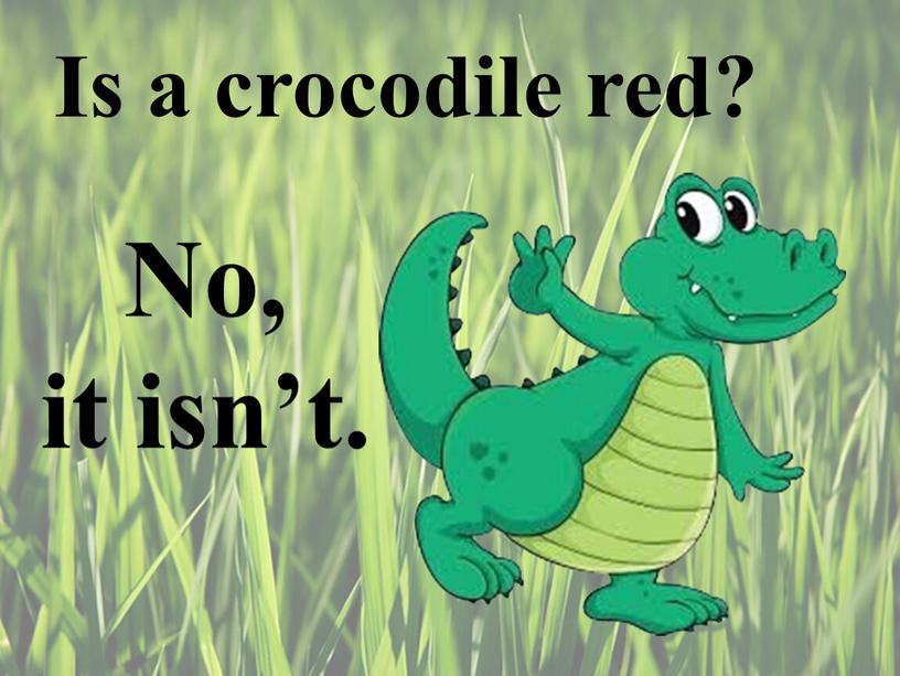 Is a crocodile red? No, it isn’t