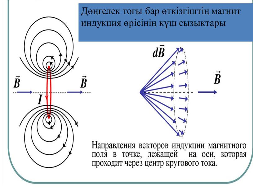 Дөңгелек тогы бар өткізгіштің магнит индукция өрісінің күш сызықтары