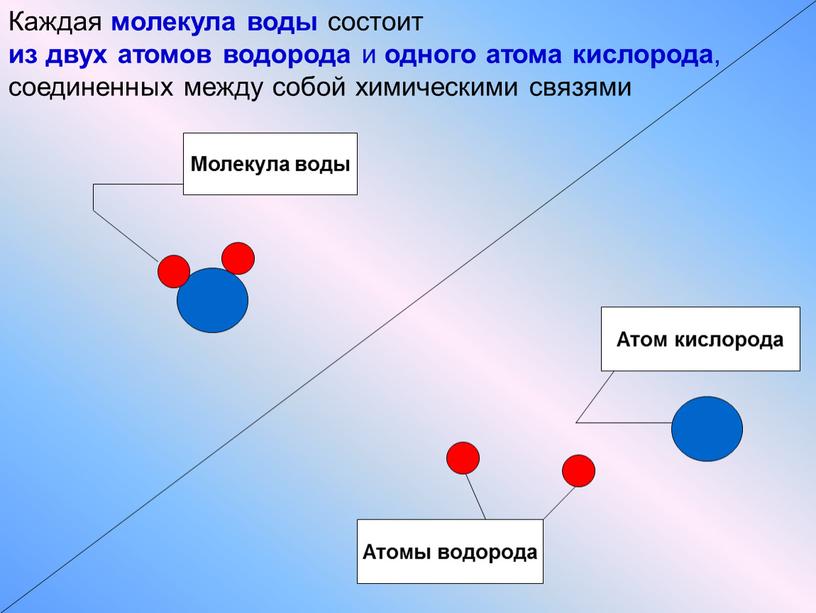 Атом кислорода Атомы водорода Молекула воды
