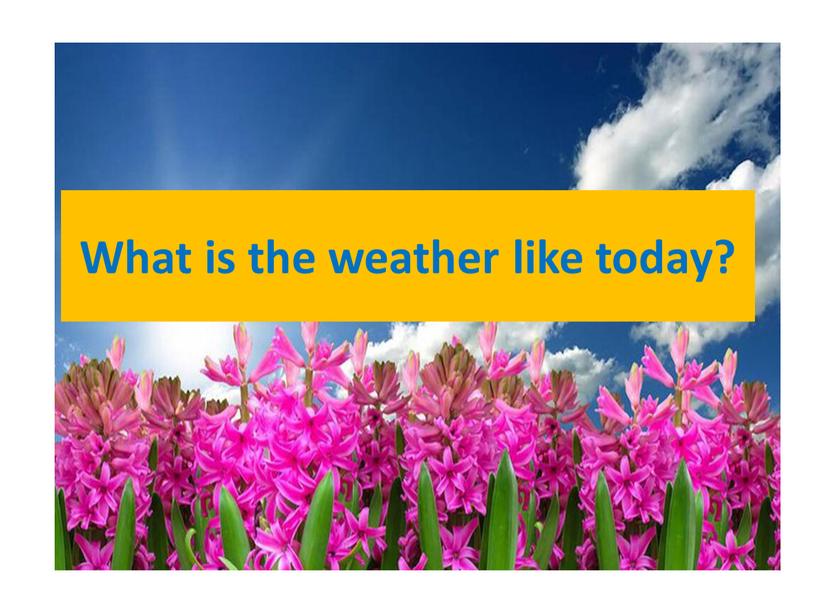 What is the weather like today?