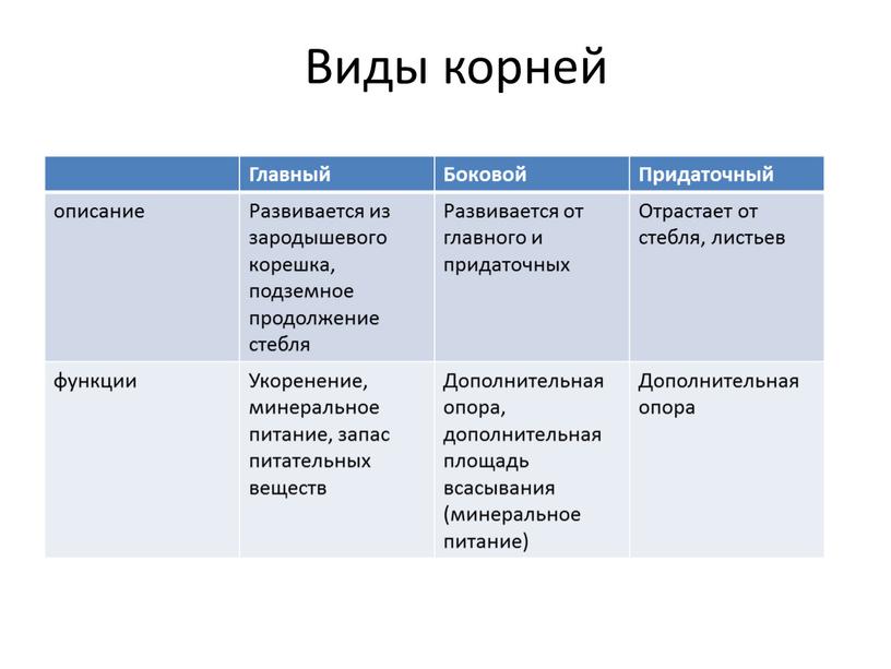 Виды корней Главный Боковой Придаточный описание