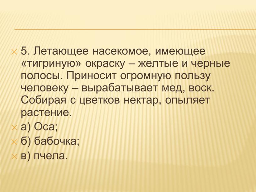 Летающее насекомое, имеющее «тигриную» окраску – желтые и черные полосы