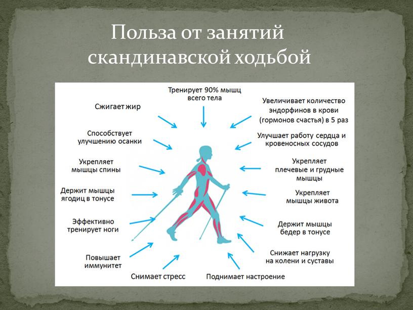 Польза от занятий скандинавской ходьбой