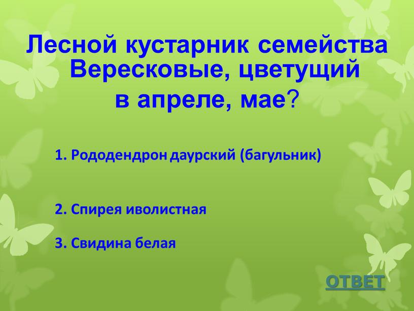 Лесной кустарник семейства Вересковые, цветущий в апреле, мае ?