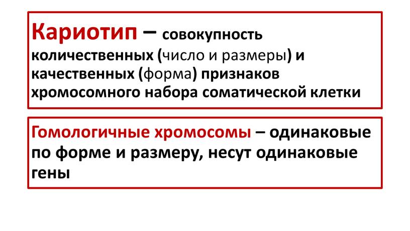 Кариотип – совокупность количественных ( число и размеры ) и качественных ( форма ) признаков хромосомного набора соматической клетки