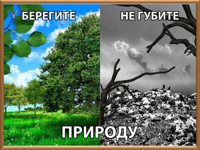 Презентация по экологии "Планета не должна болеть!" (2 класс, окружающий мир)