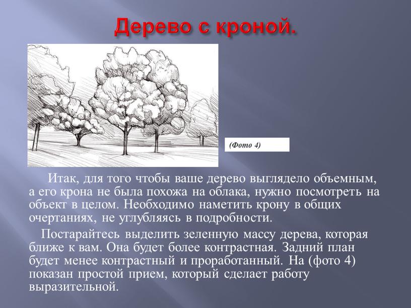 Дерево с кроной. Итак, для того чтобы ваше дерево выглядело объемным, а его крона не была похожа на облака, нужно посмотреть на объект в целом