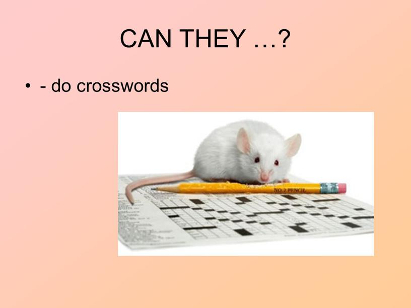 CAN THEY …? - do crosswords