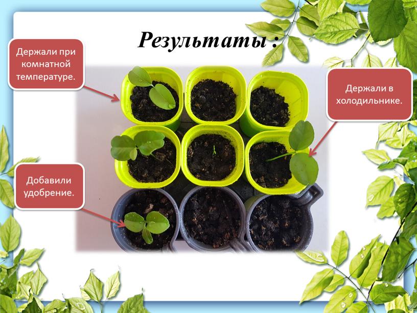 Результаты : Держали в холодильнике