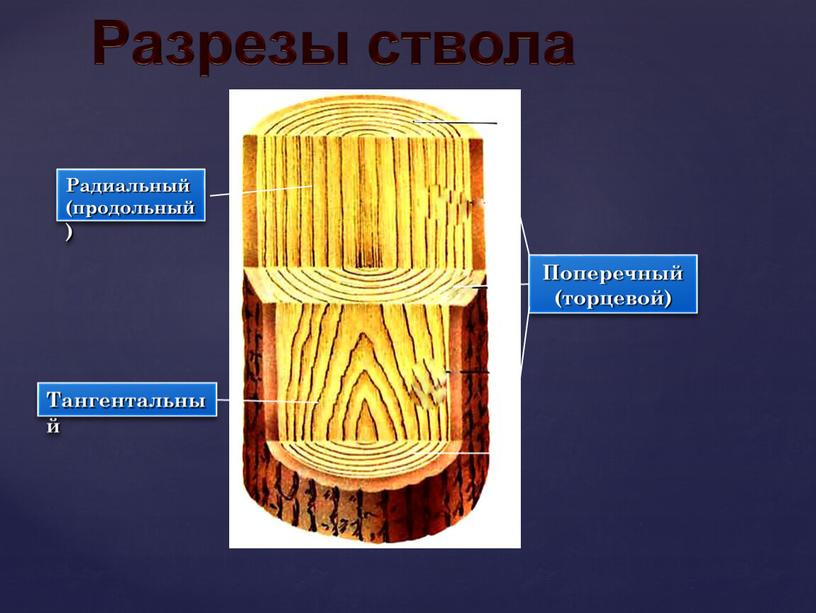 Поперечный (торцевой) Радиальный (продольный)