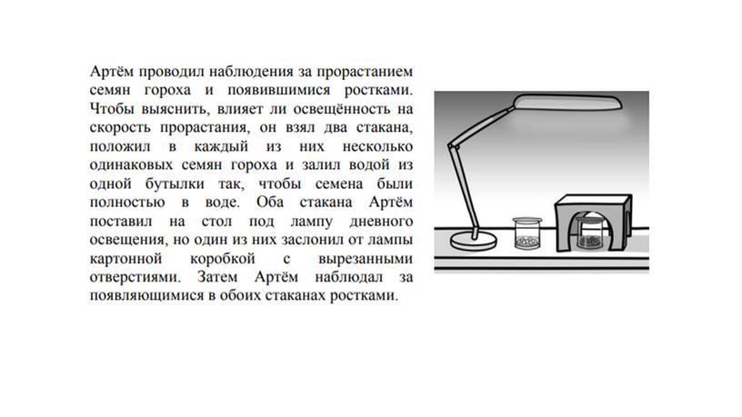 Подготовка к ВПР по окружающему миру