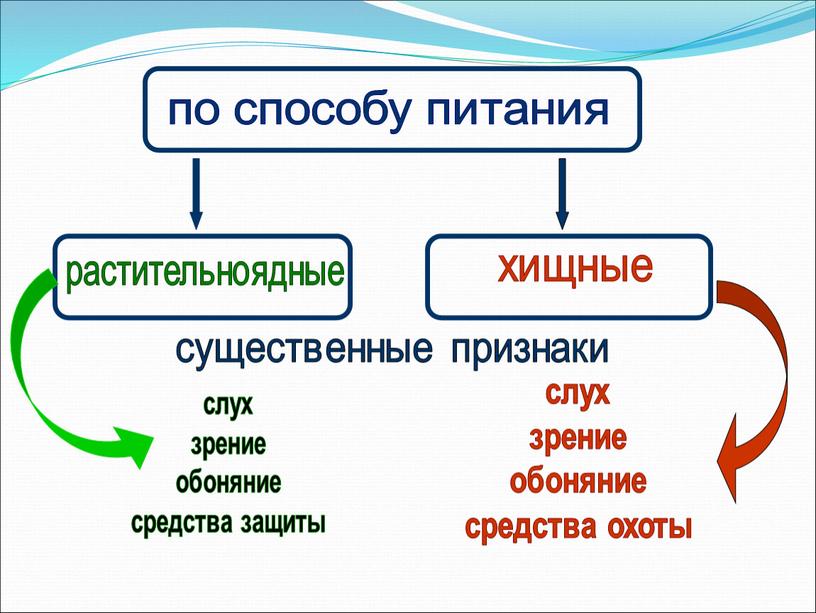 по способу питания растительноядные хищные слух зрение обоняние средства охоты слух зрение обоняние средства защиты существенные признаки