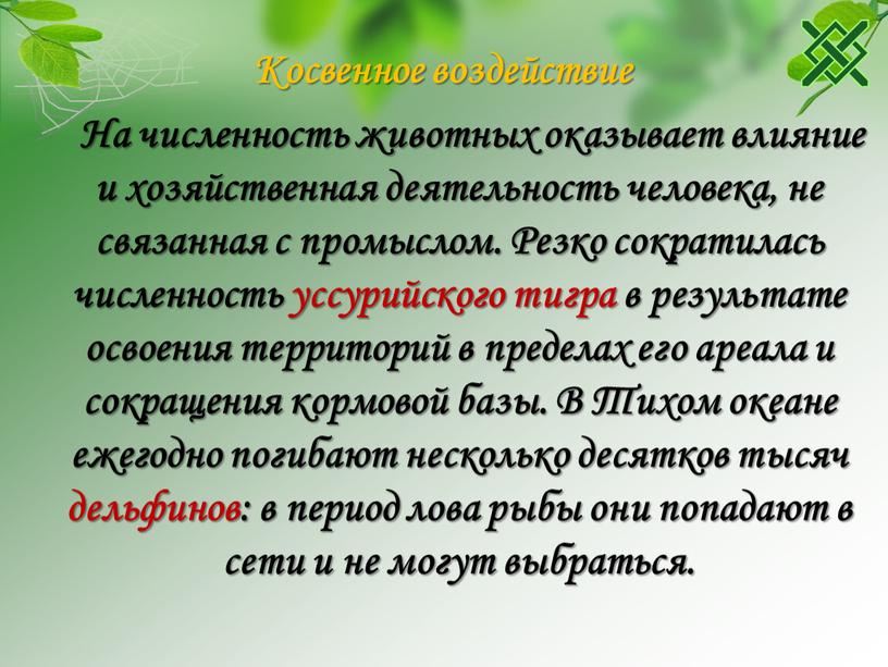 Косвенное воздействие На численность животных оказывает влияние и хозяйственная деятельность человека, не связанная с промыслом