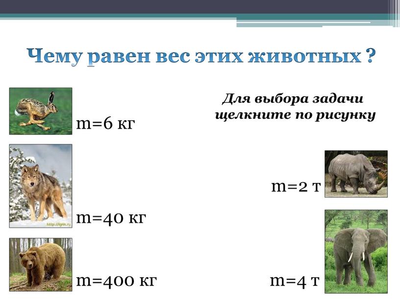 Чему равен вес этих животных ? m=40 кг m=400 кг m=2 т m=4 т