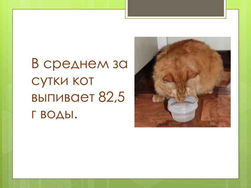 В среднем за сутки кот выпивает 82,5 г воды