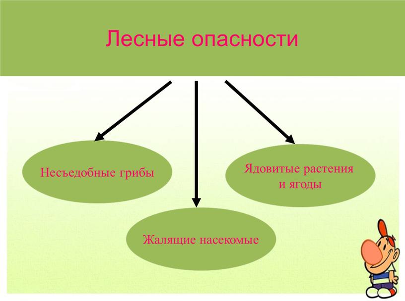 Лесные опасности Ядовитые растения и ягоды