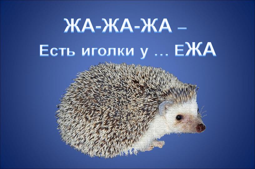 Жа ем