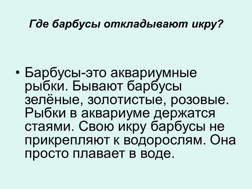 Где барбусы откладывают икру? Барбусы-это аквариумные рыбки