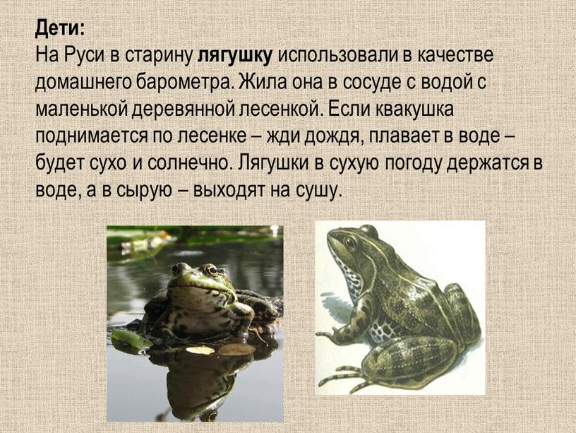 Дети: На Руси в старину лягушку использовали в качестве домашнего барометра