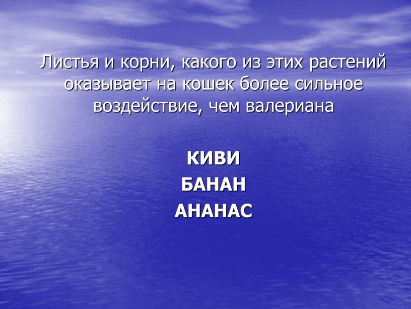 Листья и корни, какого из этих растений оказывает на кошек более сильное воздействие, чем валериана