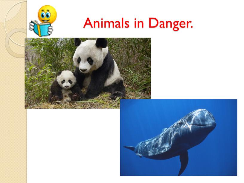 Animals in Danger.