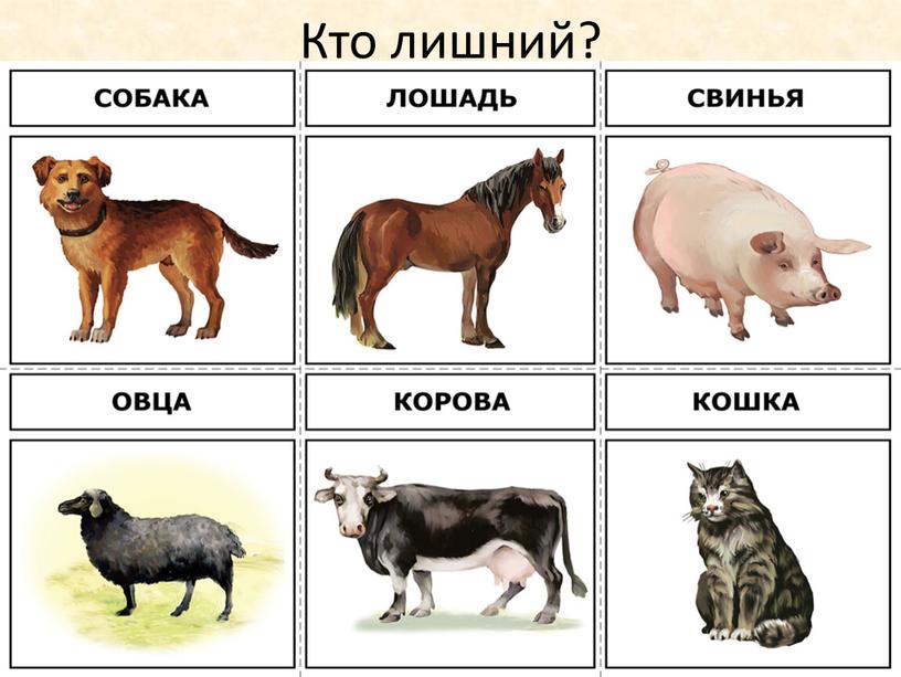 Кто лишний?