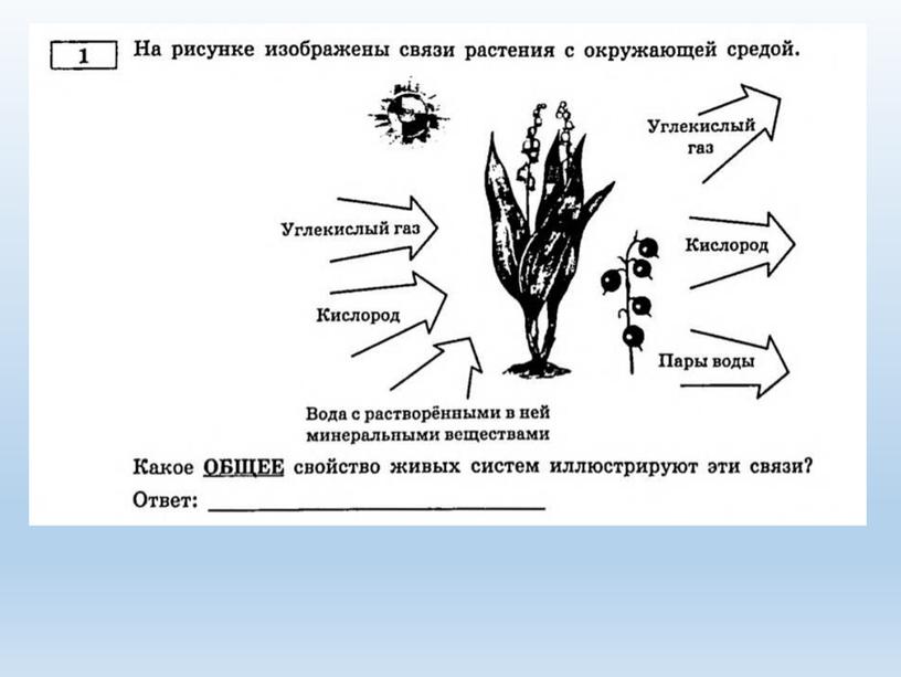 Разбор заданий №1 ОГЭ биология из сборника В.С.Рохлова