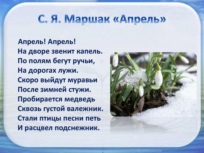 Разработка урока ИЗО во 2 классе на тему "Украшения в природе. Подснежники"