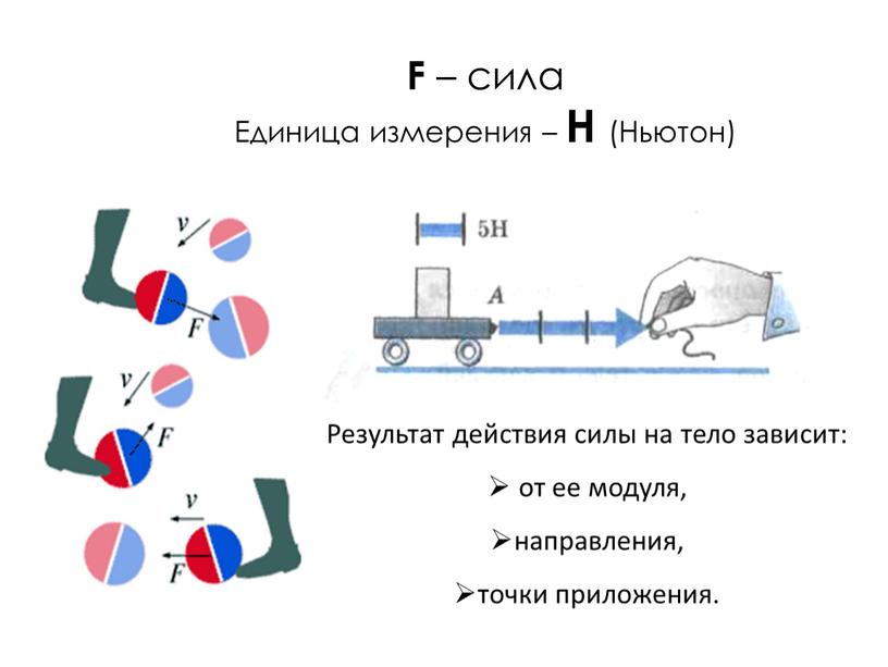 F – сила Единица измерения –