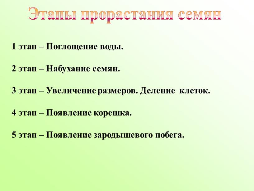 Поглощение воды. 2 этап – Набухание семян