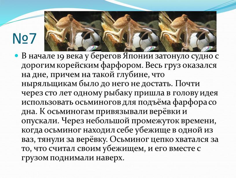 В начале 19 века у берегов Японии затонуло судно с дорогим корейским фарфором