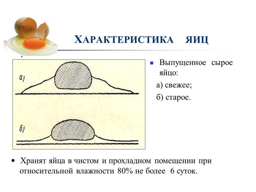 ХАРАКТЕРИСТИКА ЯИЦ Выпущенное сырое яйцо: а) свежее; б) старое