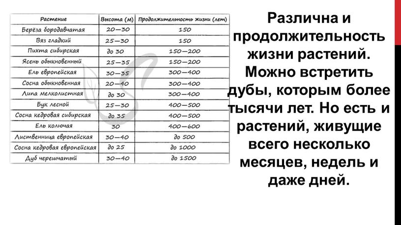 Различна и продолжительность жизни растений