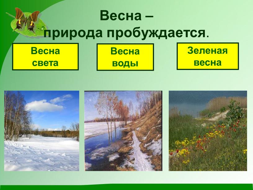 Весна – природа пробуждается