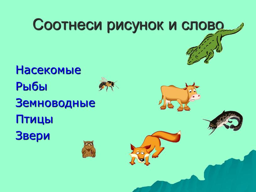 Соотнесите иллюстрации и текст. Различные группы животных. Птицы звери насекомые рыбы соотнеси. Четыре группы животных. Группы животных 1 класс.