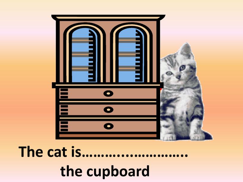 The cat is………....………….. the cupboard