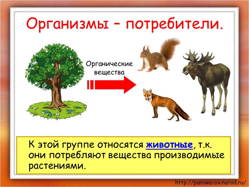 Организмы – потребители. К этой группе относятся животные , т