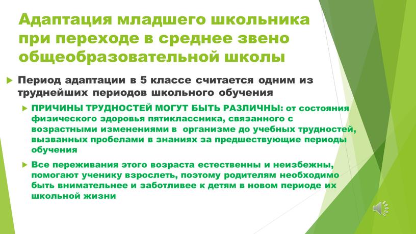 Адаптация младшего школьника при переходе в среднее звено общеобразовательной школы