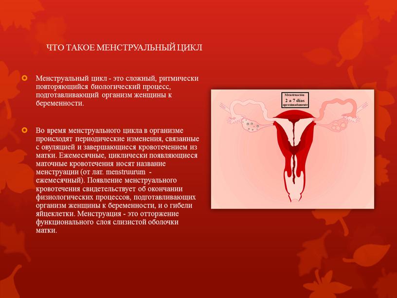 ЧТО ТАКОЕ МЕНСТРУАЛЬНЫЙ ЦИКЛ Менструальный цикл - это сложный, ритмически повторяющийся биологический процесс, подготавливающий организм женщины к беременности